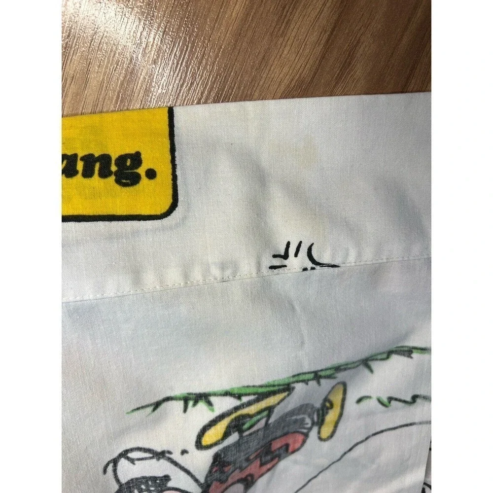 Vintage 1971 Snoopy Charlie Brown Peanuts 